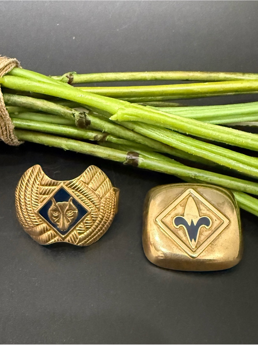 Lot 2 Vintage Boy Scout Cub Scout Neckerchief Slides Scarf Clips